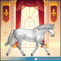 Horse Color:Gray Brown Splash