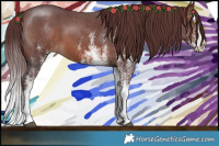 Horse Color:White Spotted Chocolate Brown Splash