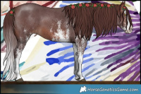 Horse Color:White Spotted Chocolate Brown Splash