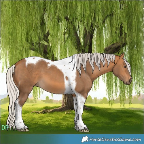 Horse Color:Silver Buckskin Tobiano