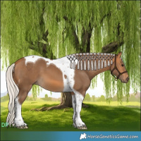 Horse Color:Silver Buckskin Tobiano 