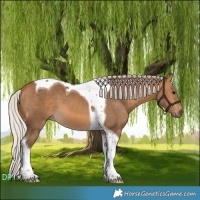 Horse Color:Silver Buckskin Tobiano 