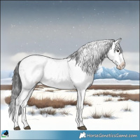 Horse Color:Smoky Black Sabino Rabicano 