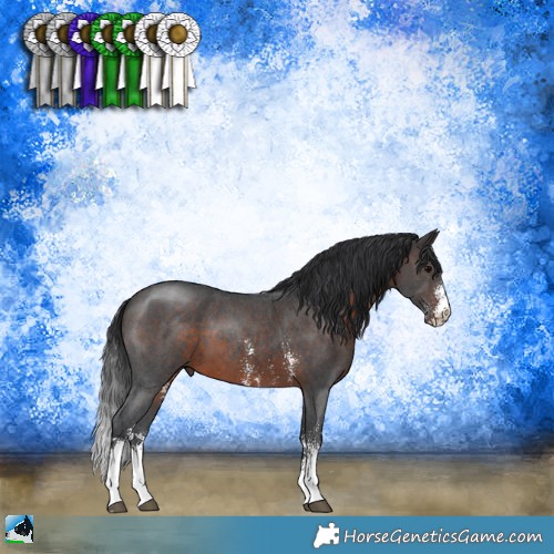 Horse Color:Brown Sabino 