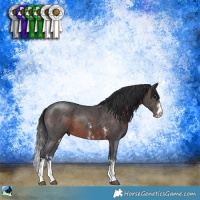Horse Color:Brown Sabino