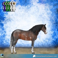 Horse Color:Brown Sabino 