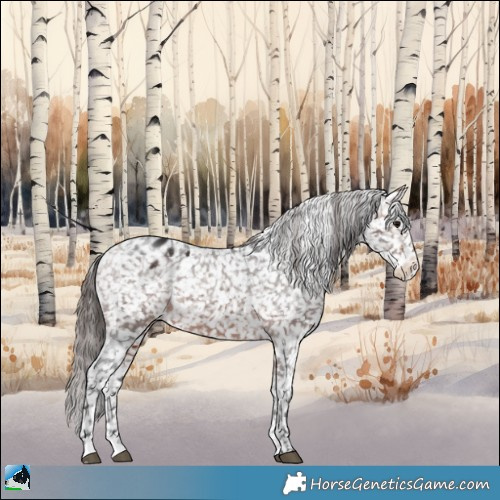 Horse Color:Bay Sabino Appaloosa