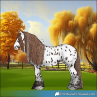 Horse Color:White Spotted Liver Chestnut Appaloosa