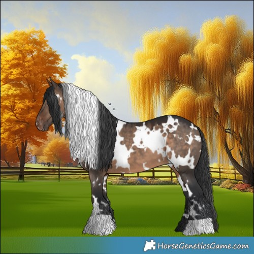 Horse Color:White Spotted Brown Dun Appaloosa 