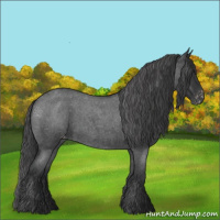 Horse Color:Blue Roan Appaloosa 