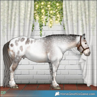 Horse Color:Gray Liver Chestnut Tobiano Blanket 
