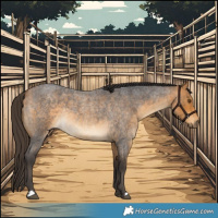 Horse Color:Buckskin Roan Rabicano