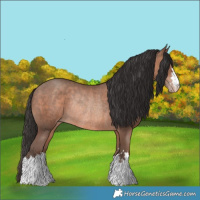 Horse Color:Sable Champagne Rabicano