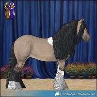 Horse Color:Brown Dun Tobiano 