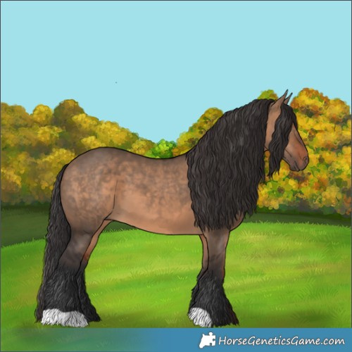 Horse Color:Brown Dun 