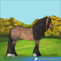 Horse Color:Brown Dun 