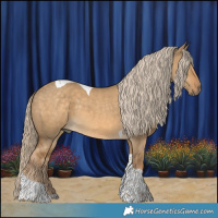 Horse Color:Chocolate Palomino Dun Tobiano