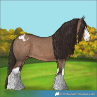 Horse Color:White Spotted Liver Red Dun Varnish 