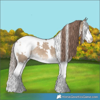 Horse Color:White Spotted Liver Red Dun Splash Snowcap 