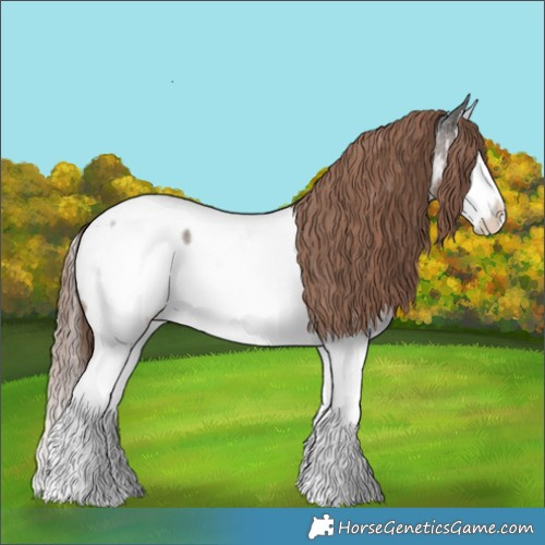 Horse Color:Liver Red Roan Splash Near Fewspot 