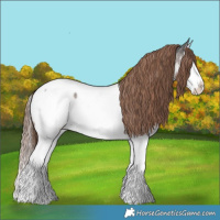 Horse Color:Liver Red Roan Splash Near Fewspot 