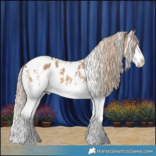 Horse Color:White Spotted Chocolate Palomino Sabino Splash Appaloosa 