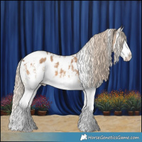 Horse Color:White Spotted Chocolate Palomino Sabino Splash Appaloosa