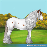 Horse Color:White Spotted Chestnut Splash Tobiano Appaloosa