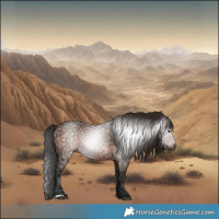 Horse Color:Gray Bay