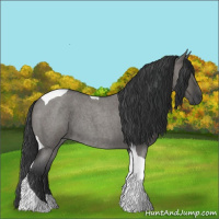 Horse Color:Grullo Roan Tobiano 