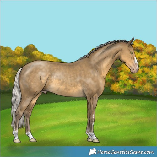 Horse Color:Silver Classic Cream Champagne Rabicano 
