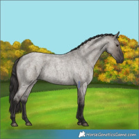 Horse Color:Smoky Grullo Roan 