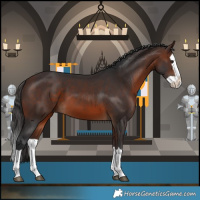 Horse Color:Brown Splash 