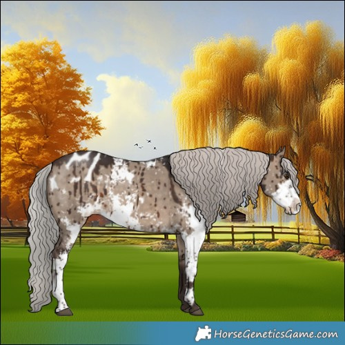 Horse Color:Silver Brown Dun Sabino Appaloosa Brindle 