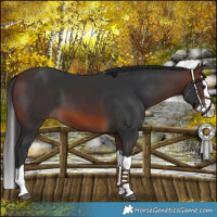 Horse Color:Brown Splash