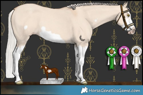 Horse Color:Silver Classic Champagne Dun Splash Frame 