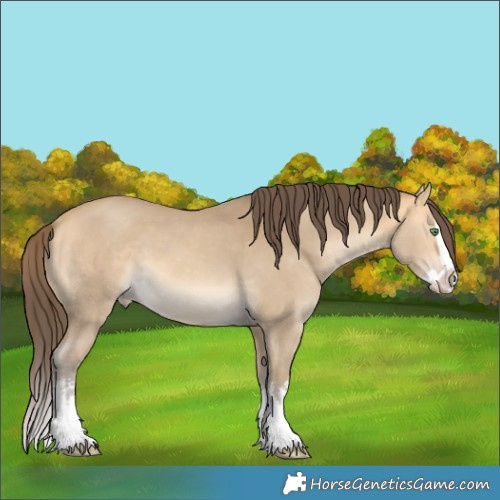 Horse Color:White Spotted Amber Cream Champagne Splash 