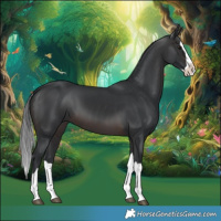 Horse Color:Brown Splash