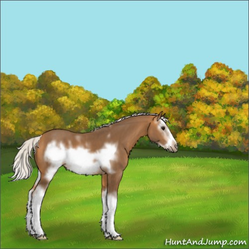 Horse Color:White Spotted Silver Buckskin Splash Frame 