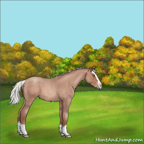 Horse Color:Silver Amber Champagne Roan Sabino Splash 