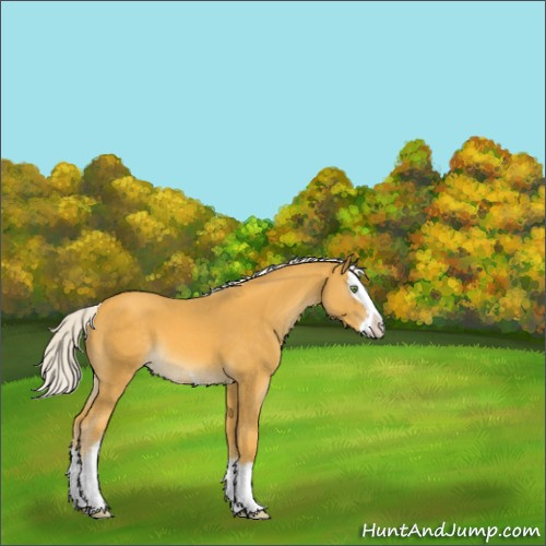 Horse Color:White Spotted Silver Sable Cream Champagne Splash 