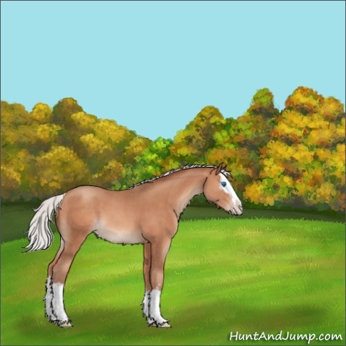 Horse Color:White Spotted Silver Sable Champagne Splash 