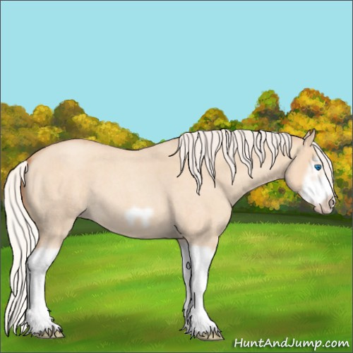 Horse Color:Silver Classic Champagne Roan Dun Splash Frame 