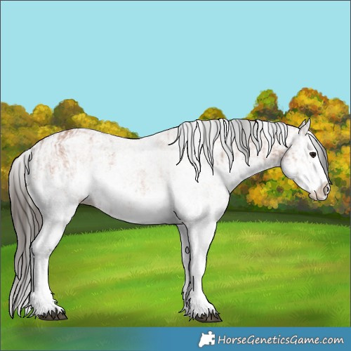 Horse Color:White Spotted Bay Splash  and White Spotted Bay Splash 