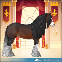 Horse Color:Brown Splash
