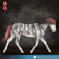 Horse Color:Liver Chestnut Sabino