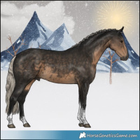 Horse Color:Gray Silver Smoky Black Tobiano 