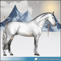 Horse Color:Gray Silver Smoky Black Tobiano 