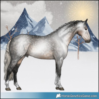 Horse Color:Gray Silver Smoky Black Tobiano 