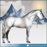 Horse Color:Gray Silver Smoky Black Tobiano 
